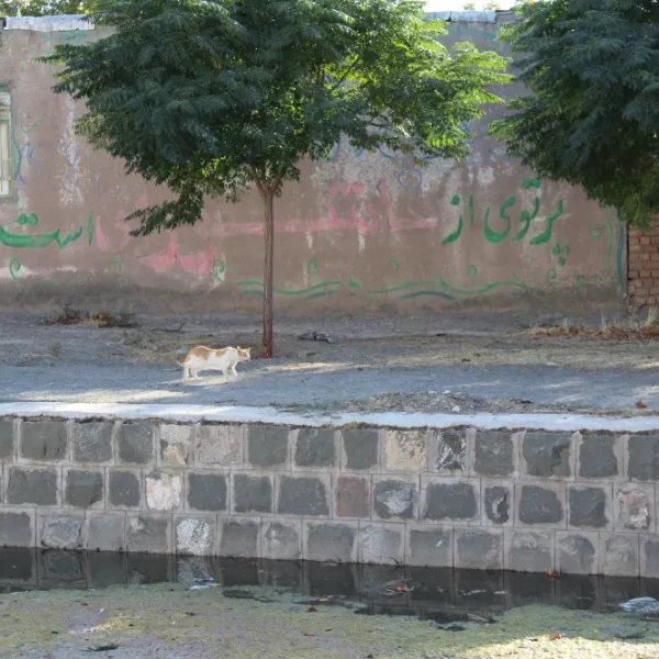 عاشورا 1395 12 600x600